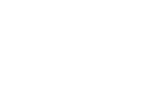 image of insights text
